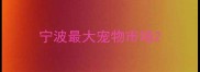 宁波最大宠物市场