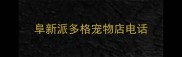 阜新派多格宠物店电话