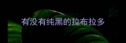 有没有纯黑的拉布拉多