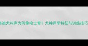 泰迪犬叫声为何像哈士奇犬种声学特征与训练技巧