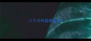 八个月柯基喂食量