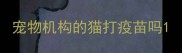 宠物机构的猫打疫苗吗