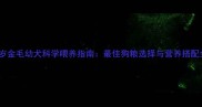 1岁金毛幼犬科学喂养指南最佳狗粮选择与营养搭配全