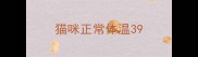 猫咪正常体温39