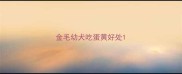 金毛幼犬吃蛋黄好处