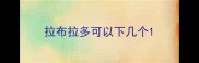 拉布拉多可以下几个