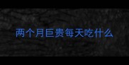 两个月巨贵每天吃什么