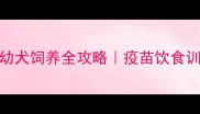 4月龄金毛幼犬饲养全攻略疫苗饮食训练避坑指南