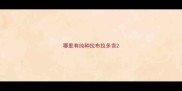 哪里有纯种拉布拉多卖