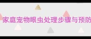 小狗眼虫全攻略家庭宠物眼虫处理步骤与预防措施附图解