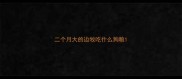 二个月大的边牧吃什么狥粮