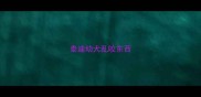 泰迪幼犬乱咬东西