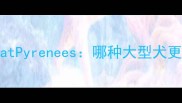 金毛寻回犬VSGreatPyrenees哪种大型犬更适合你全攻略