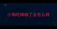 小狗吃辣椒了会怎么样