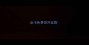 临海免费领养宠物