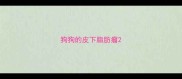 狗狗的皮下脂肪瘤