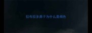 拉布拉多鼻子为什么是褐色