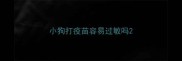 小狗打疫苗容易过敏吗