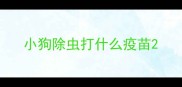 小狗除虫打什么疫苗
