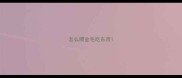 怎么喂金毛吃东西