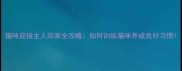 猫咪迎接主人回家全攻略如何训练猫咪养成良好习惯