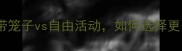 寄养宠物必看带笼子vs自由活动如何选择更安全附全攻略