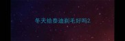 冬天给泰迪剃毛好吗