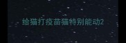 给猫打疫苗猫特别能动