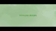 怀孕可以给小狗洗澡吗