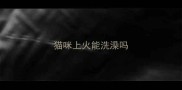 猫咪上火能洗澡吗