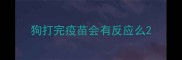狗打完疫苗会有反应么