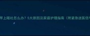 小狗早上呕吐怎么办5大原因及家庭护理指南附紧急送医信号