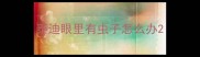 泰迪眼里有虫子怎么办