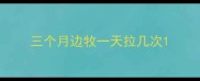 三个月边牧一天拉几次