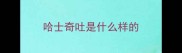 哈士奇吐是什么样的
