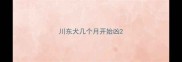 川东犬几个月开始凶