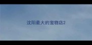 沈阳最大的宠物店