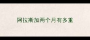 阿拉斯加两个月有多重
