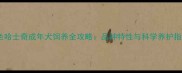 黑色哈士奇成年犬饲养全攻略品种特性与科学养护指南
