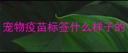 宠物疫苗标签什么样子的