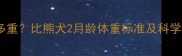比熊两个月多重比熊犬2月龄体重标准及科学喂养全攻略