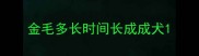 金毛多长时间长成成犬