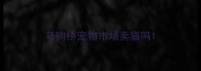 马驹桥宠物市场卖猫吗