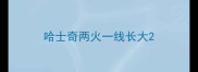 哈士奇两火一线长大
