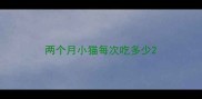 两个月小猫每次吃多少