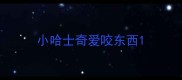 小哈士奇爱咬东西