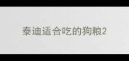 泰迪适合吃的狗粮