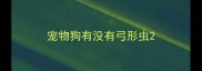 宠物狗有没有弓形虫