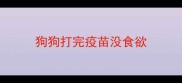狗狗打完疫苗没食欲