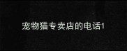 宠物猫专卖店的电话